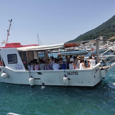 شقة Nennella Cilento House Cuccaro Vetere المظهر الخارجي الصورة