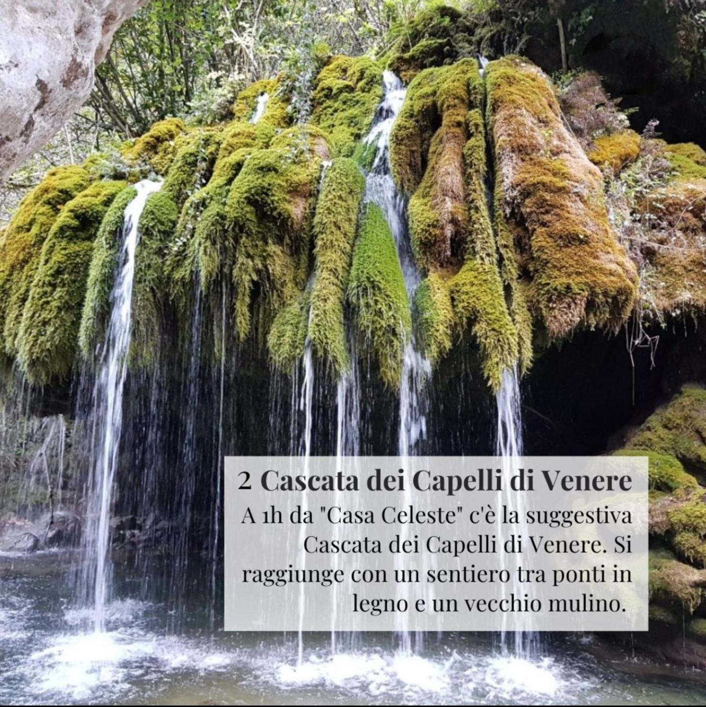 شقة Nennella Cilento House Cuccaro Vetere المظهر الخارجي الصورة