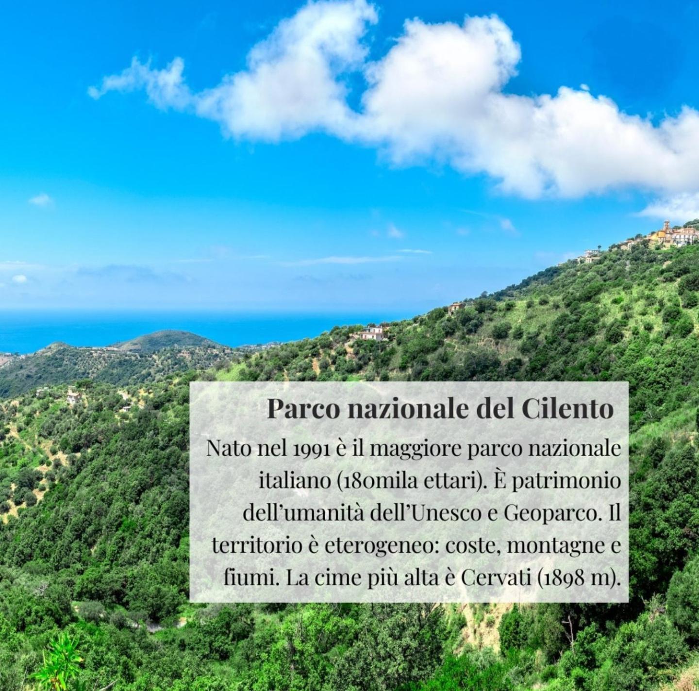 شقة Nennella Cilento House Cuccaro Vetere المظهر الخارجي الصورة